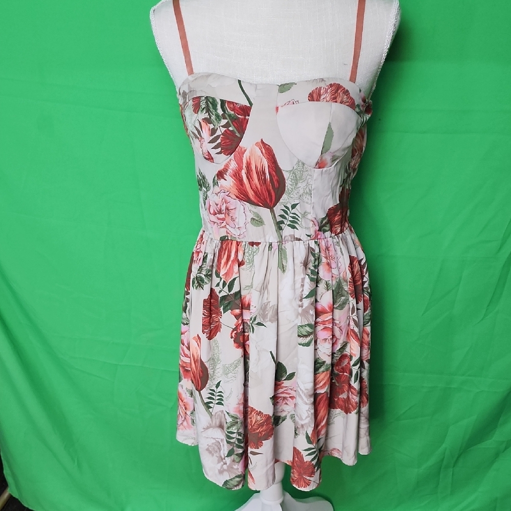 Sleeveless Floral Mini Dress in Pink and Red